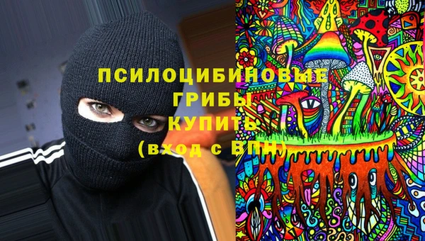 стафф Карпинск