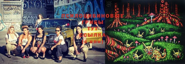 стафф Карпинск