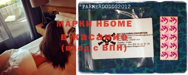 стафф Карпинск