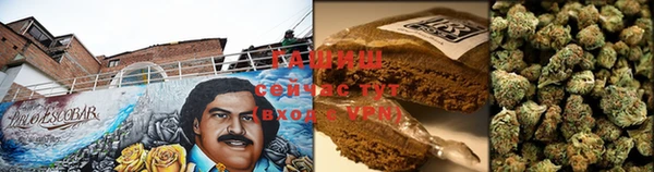 PSILOCYBIN Великий Новгород