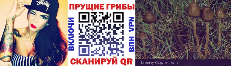 omg ССЫЛКА Кудымкар Галлюциногенные грибы Psilocybine cubensis